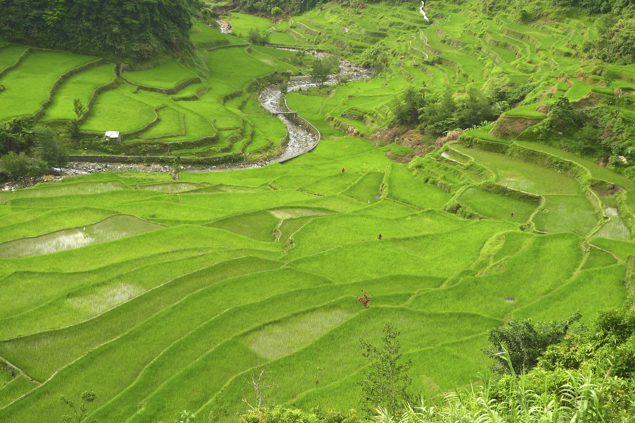 DIY Travel Guide to Batad, Ifugao, Philippines