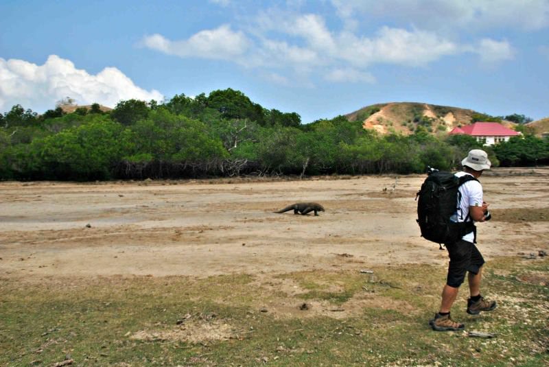 Travel Guide in Indonesia