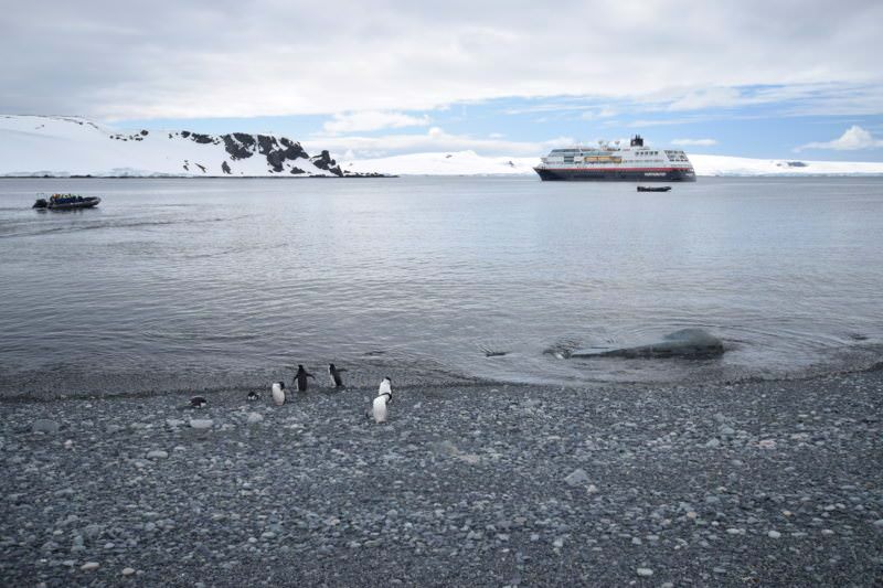 GTravel Gurus - Honeymoon Cruise to Antarctica - Antarctica Cruise Day 7e