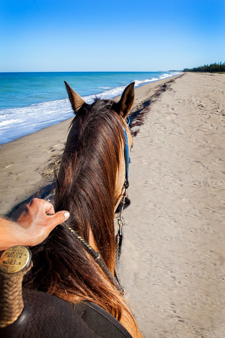 Horseback Riding on the Beach Port Saint Lucie