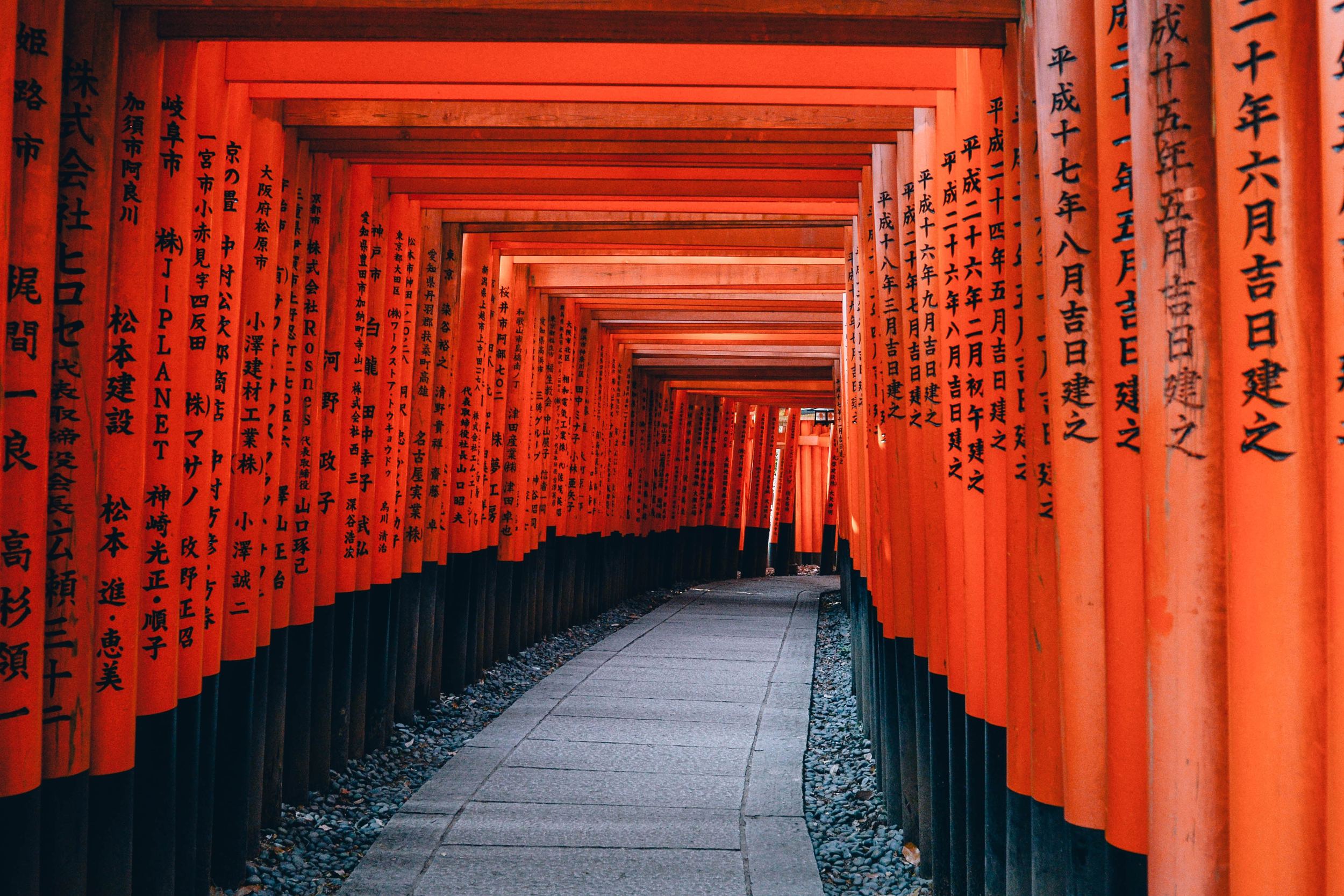 Ultimate Guide to Japan Working Holiday Visa