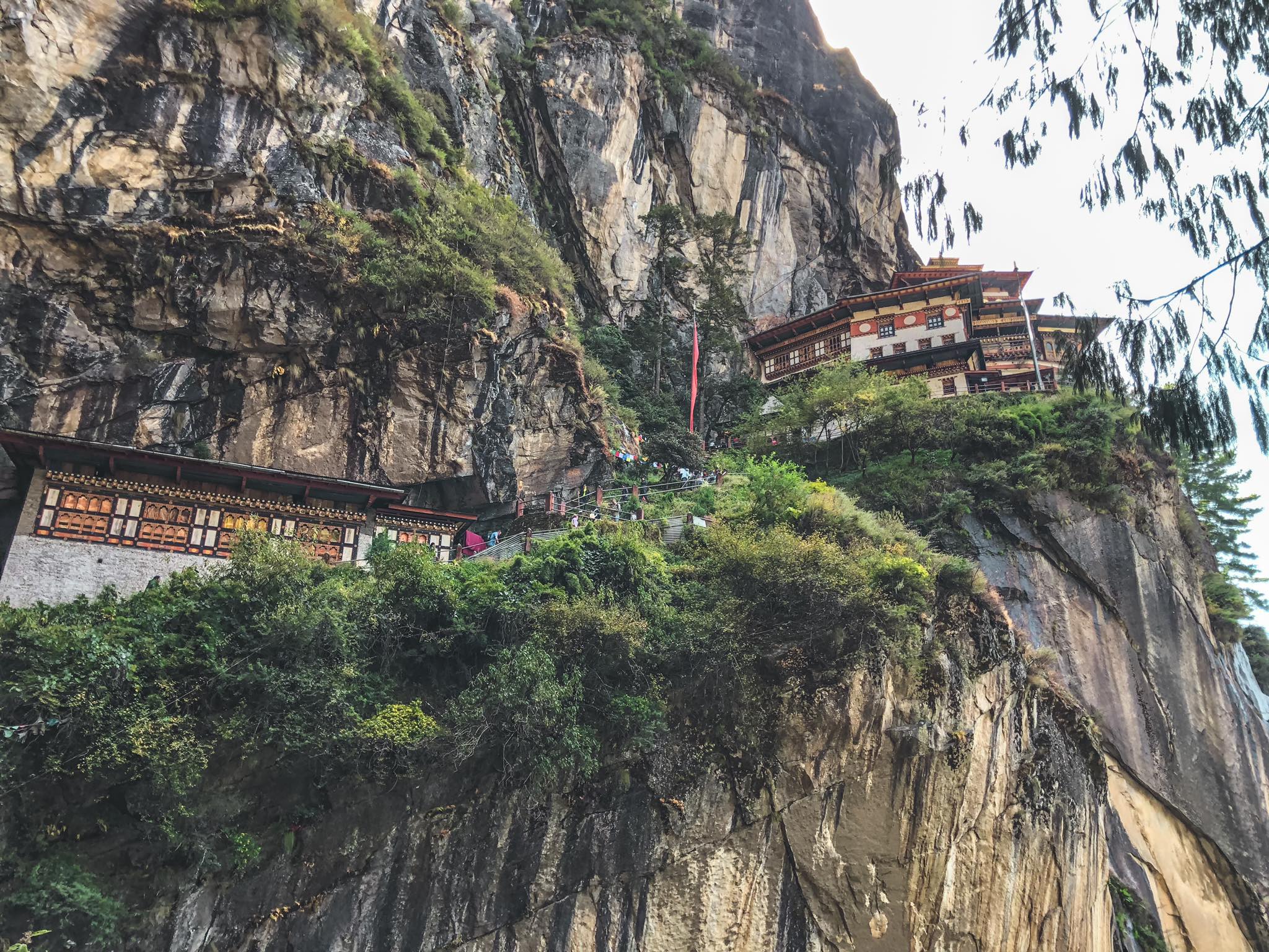 5 Star Bhutan Le Méridien Paro vs Le Méridien Thimphu