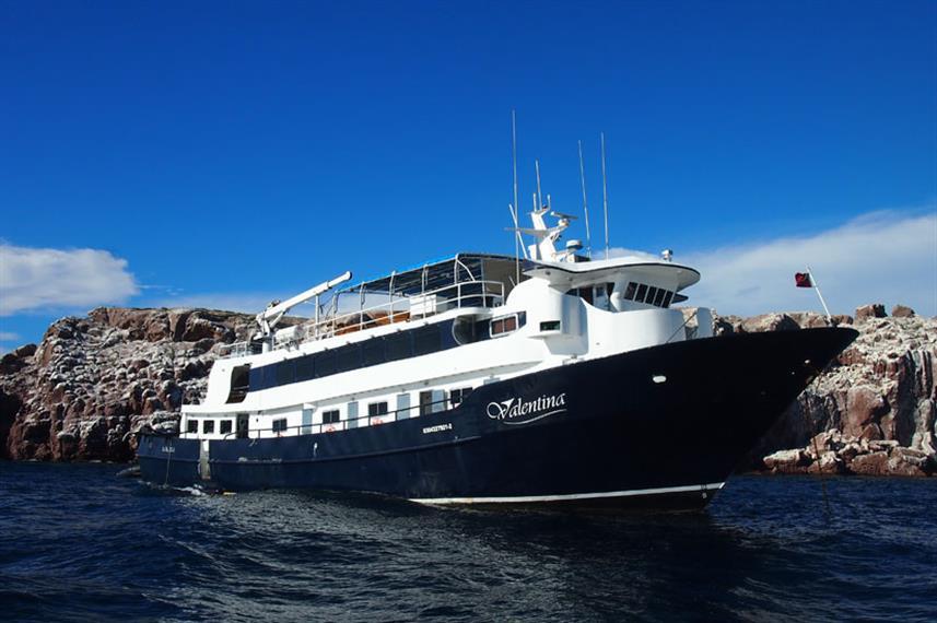 Best Liveaboards Dive Trips in Mexico