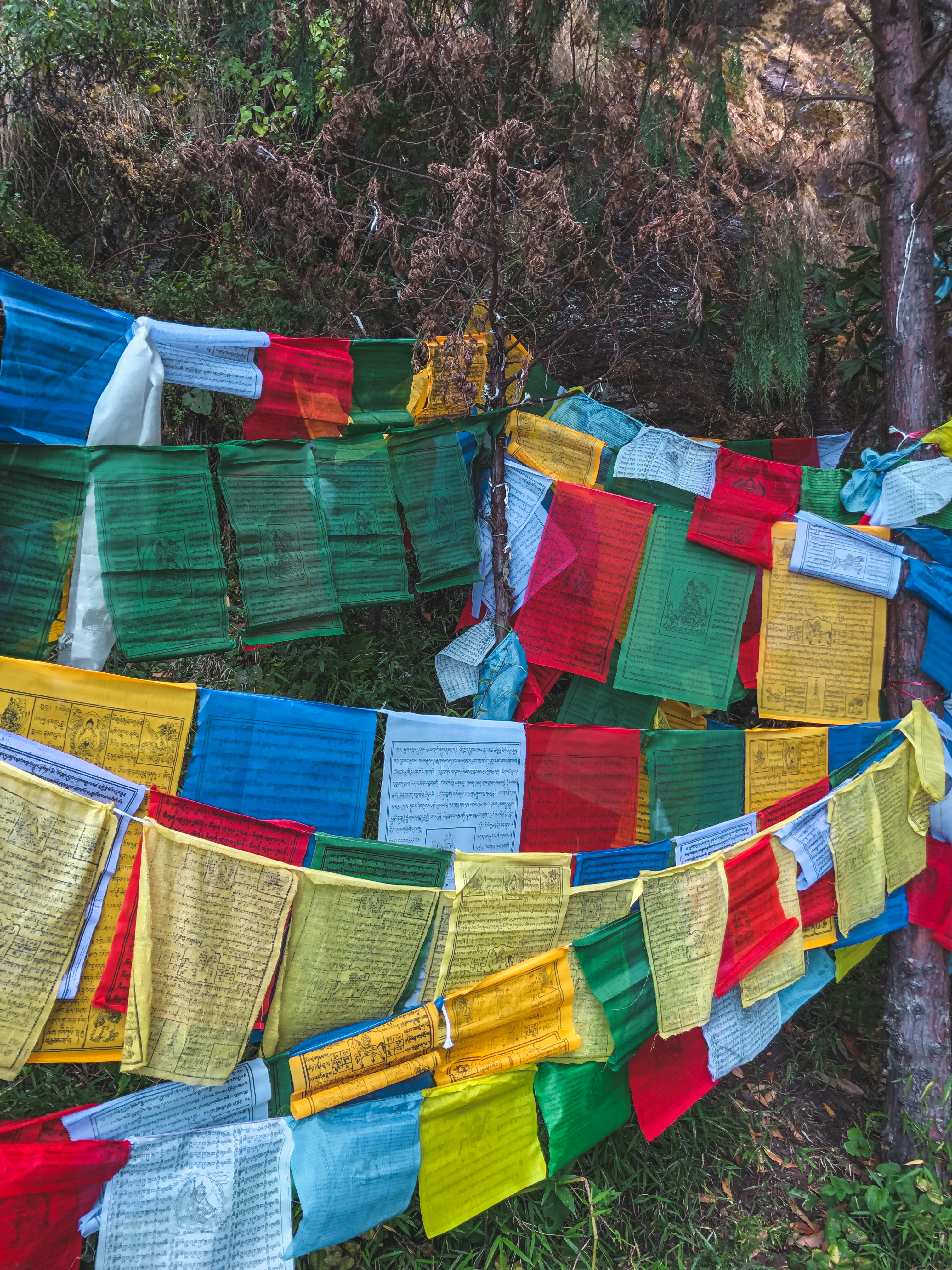 Things to do in Bhutan