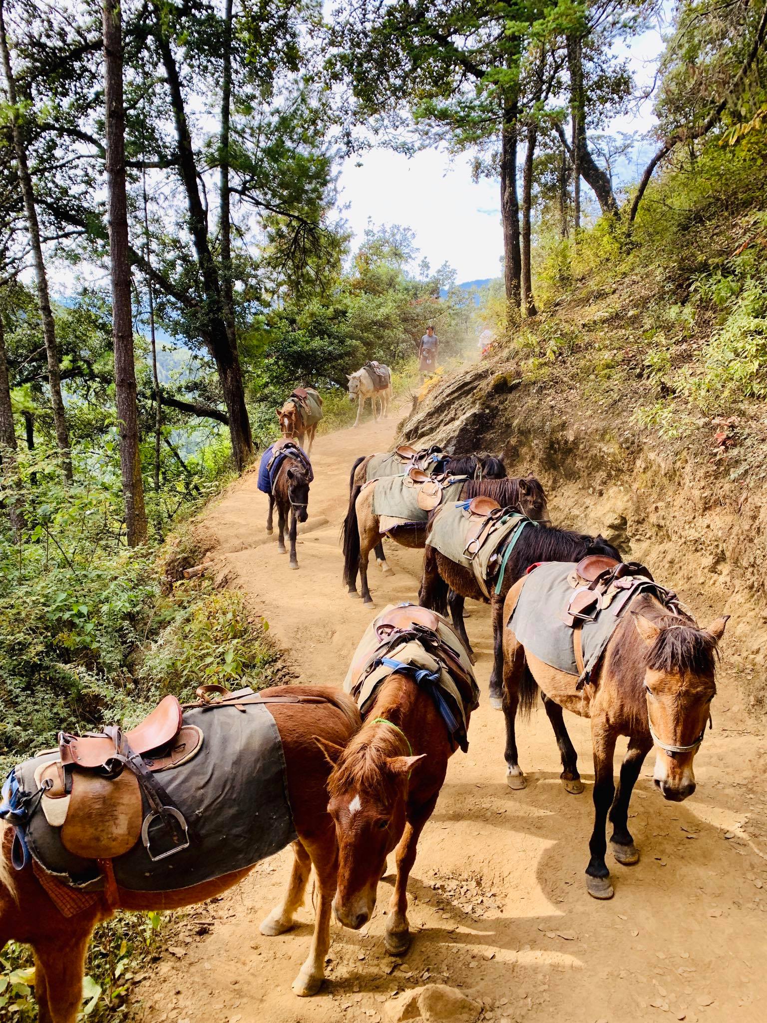 Things to do in Bhutan