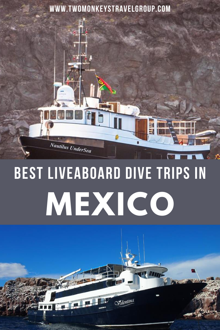 The 6 Best Liveaboard Dive Trips in Mexico [From Budget to Luxury Boat]